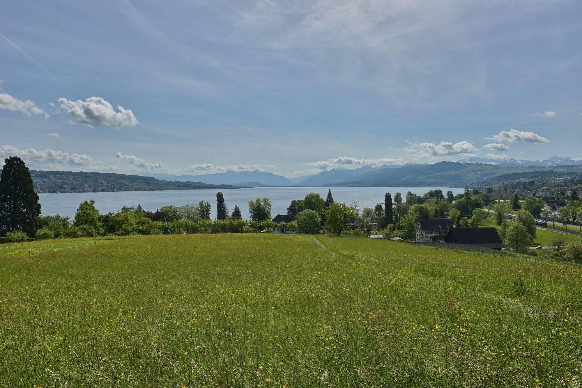 Hotel Landgasthof Halbinsel Au Wädenswil Exterior foto